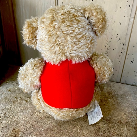 🎉Host pic!🎉 Collectable Hallmark Tyler Teddy Bear with book. - Picture 4 of 5